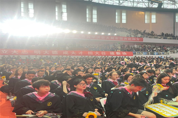 技术驱动与场景创新,A股2024年报蓄势“向上”新动能