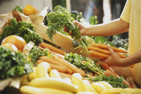 《希望传说》人宠合体新姿势！这游戏能玩出花？_玩法_www_玩家