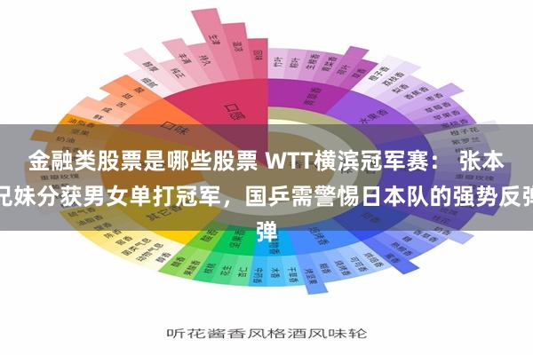 金融类股票是哪些股票 WTT横滨冠军赛： 张本兄妹分获男女单打冠军，国乒需警惕日本队的强势反弹