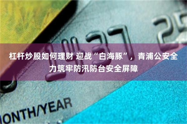 杠杆炒股如何理财 迎战“白海豚”，青浦公安全力筑牢防汛防台安全屏障