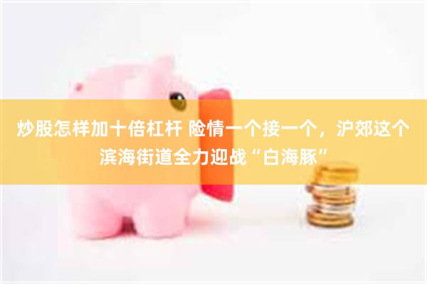 炒股怎样加十倍杠杆 险情一个接一个，沪郊这个滨海街道全力迎战“白海豚”