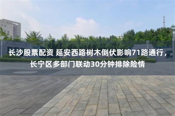长沙股票配资 延安西路树木倒伏影响71路通行，长宁区多部门联动30分钟排除险情
