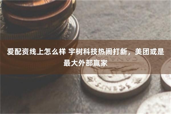 爱配资线上怎么样 宇树科技热闹打新，美团或是最大外部赢家