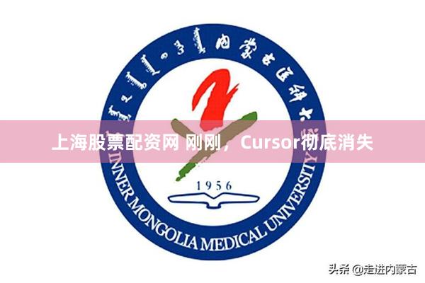 上海股票配资网 刚刚，Cursor彻底消失