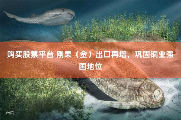购买股票平台 刚果（金）出口再增，巩固铜业强国地位