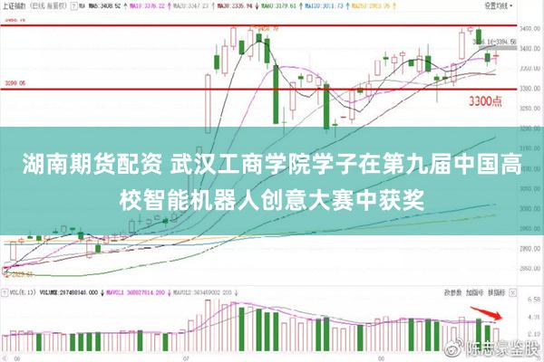 湖南期货配资 武汉工商学院学子在第九届中国高校智能机器人创意大赛中获奖