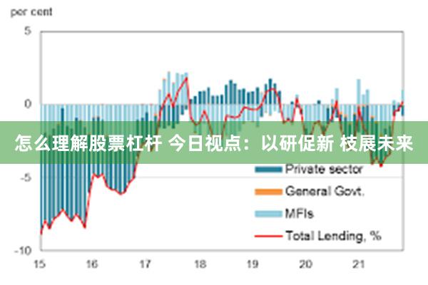 怎么理解股票杠杆 今日视点：以研促新 枝展未来