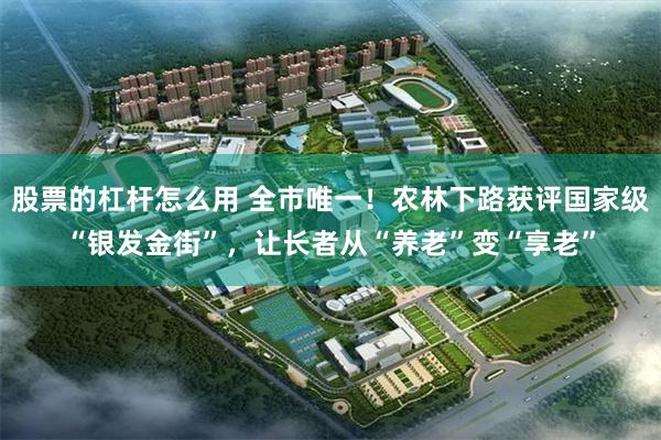 股票的杠杆怎么用 全市唯一！农林下路获评国家级“银发金街”，让长者从“养老”变“享老”